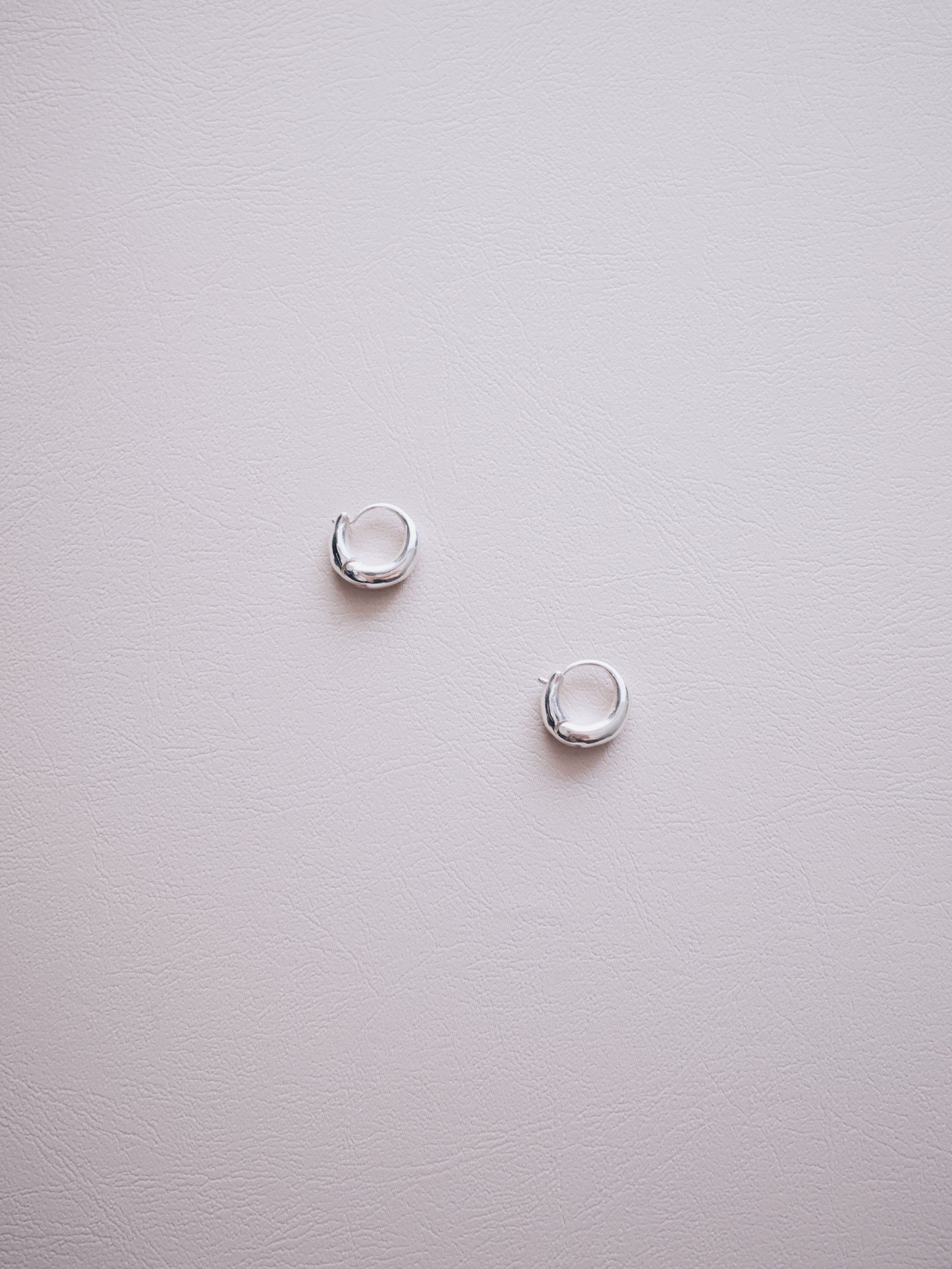 Felidae hoop earrings